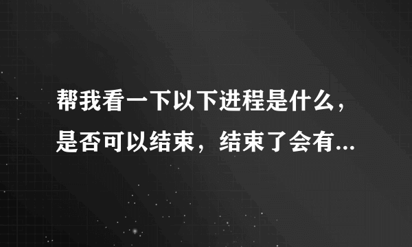 帮我看一下以下进程是什么，是否可以结束，结束了会有什么后果！