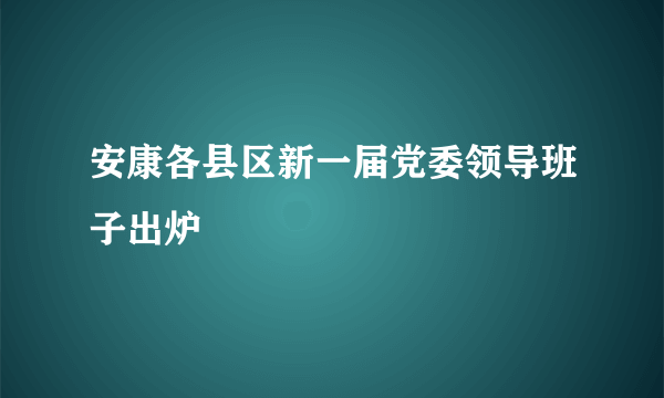 安康各县区新一届党委领导班子出炉