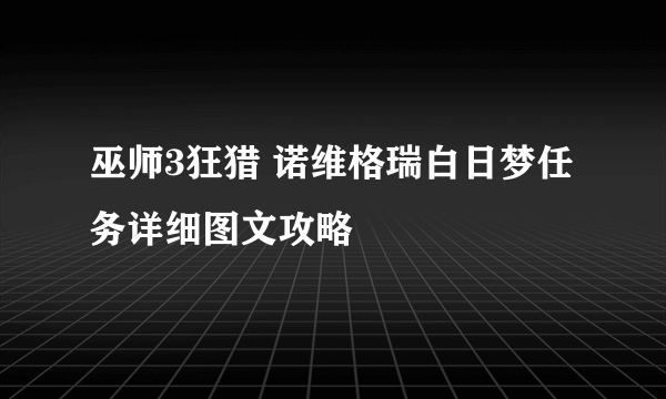 巫师3狂猎 诺维格瑞白日梦任务详细图文攻略