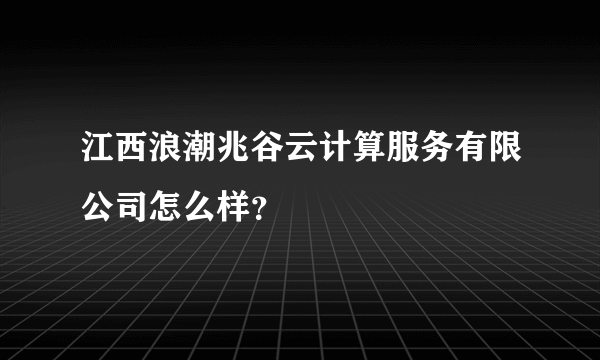 江西浪潮兆谷云计算服务有限公司怎么样？