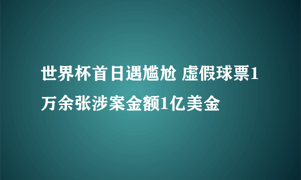 世界杯首日遇尴尬 虚假球票1万余张涉案金额1亿美金