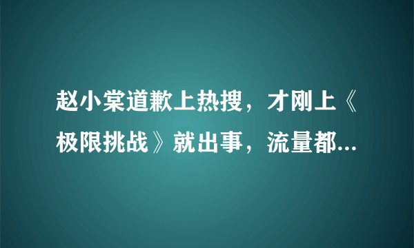 赵小棠道歉上热搜，才刚上《极限挑战》就出事，流量都怎么了？