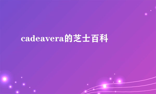 cadeavera的芝士百科