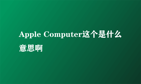 Apple Computer这个是什么意思啊