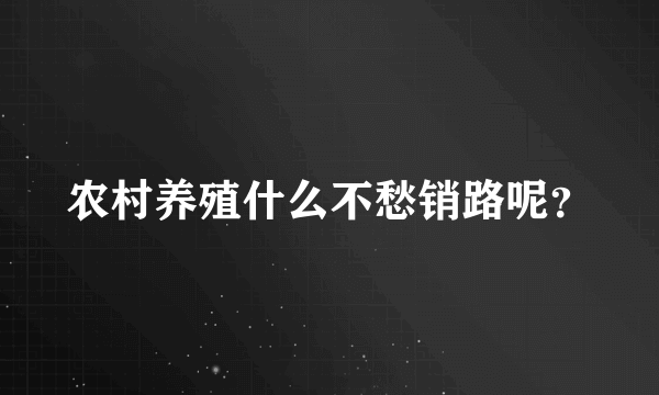 农村养殖什么不愁销路呢？