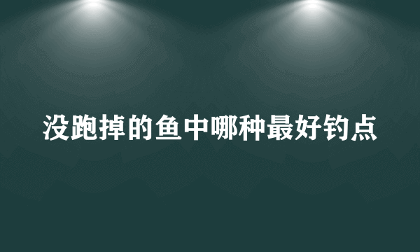 没跑掉的鱼中哪种最好钓点