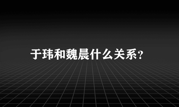 于玮和魏晨什么关系？