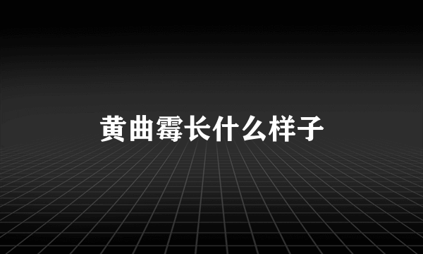 黄曲霉长什么样子