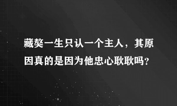 藏獒一生只认一个主人，其原因真的是因为他忠心耿耿吗？