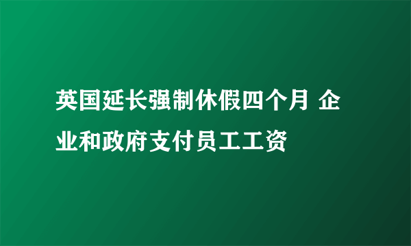 英国延长强制休假四个月 企业和政府支付员工工资