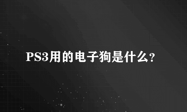 PS3用的电子狗是什么？