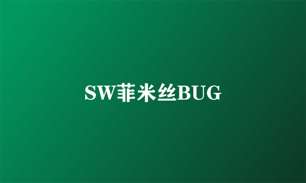 SW菲米丝BUG