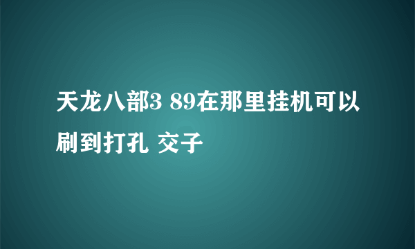 天龙八部3 89在那里挂机可以刷到打孔 交子