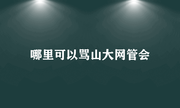 哪里可以骂山大网管会