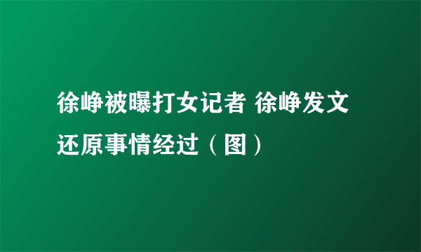 徐峥被曝打女记者 徐峥发文还原事情经过（图）