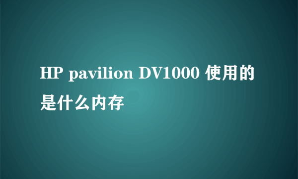 HP pavilion DV1000 使用的是什么内存