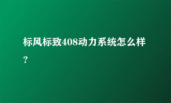 标风标致408动力系统怎么样？