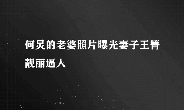 何炅的老婆照片曝光妻子王箐靓丽逼人