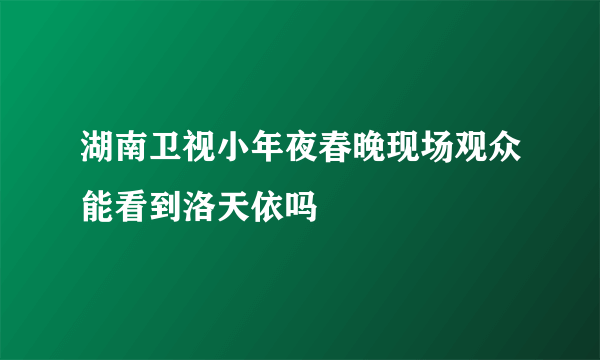 湖南卫视小年夜春晚现场观众能看到洛天依吗