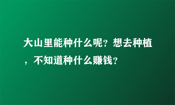 大山里能种什么呢？想去种植，不知道种什么赚钱？