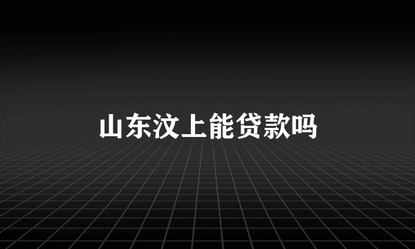 山东汶上能贷款吗