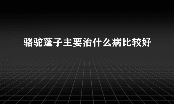 骆驼蓬子主要治什么病比较好