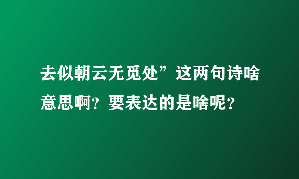 去似朝云无觅处”这两句诗啥意思啊？要表达的是啥呢？