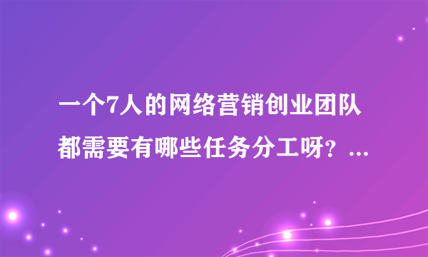 一个7人的网络营销创业团队都需要有哪些任务分工呀？越具体越好，比如策划，编辑，美工，营销，还有哪些