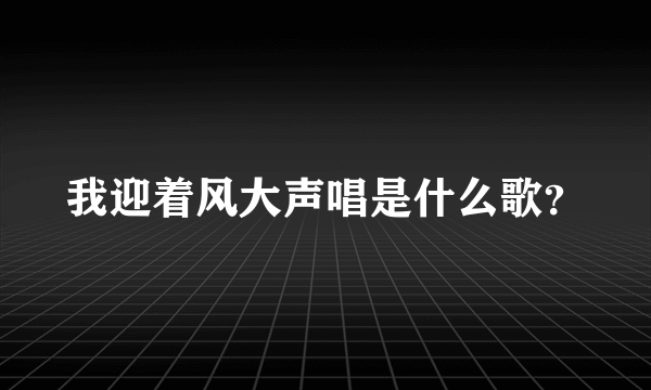 我迎着风大声唱是什么歌？