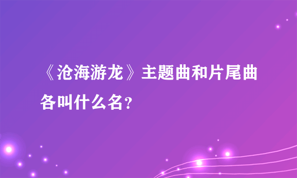 《沧海游龙》主题曲和片尾曲各叫什么名？