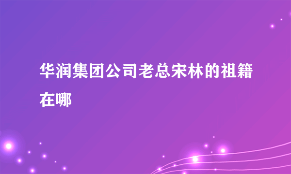 华润集团公司老总宋林的祖籍在哪