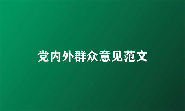 党内外群众意见范文