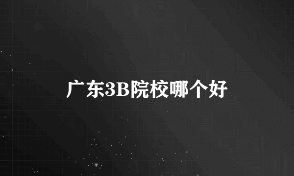 广东3B院校哪个好