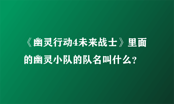 《幽灵行动4未来战士》里面的幽灵小队的队名叫什么？