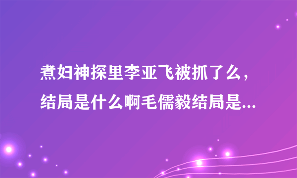 煮妇神探里李亚飞被抓了么，结局是什么啊毛儒毅结局是怎样的？