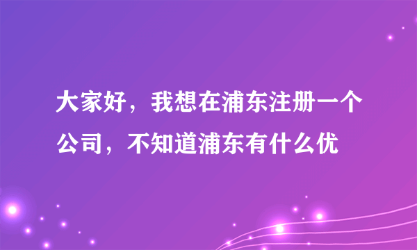 大家好，我想在浦东注册一个公司，不知道浦东有什么优