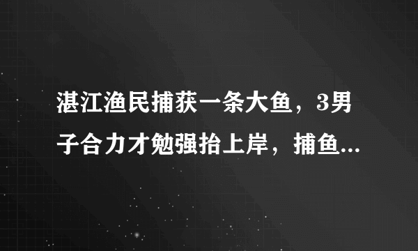 湛江渔民捕获一条大鱼，3男子合力才勉强抬上岸，捕鱼时要注意哪些事项？