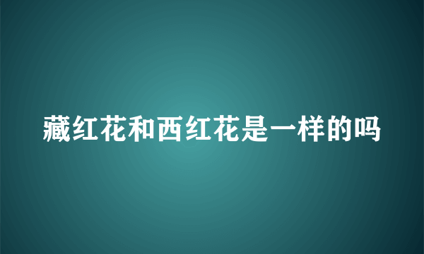 藏红花和西红花是一样的吗