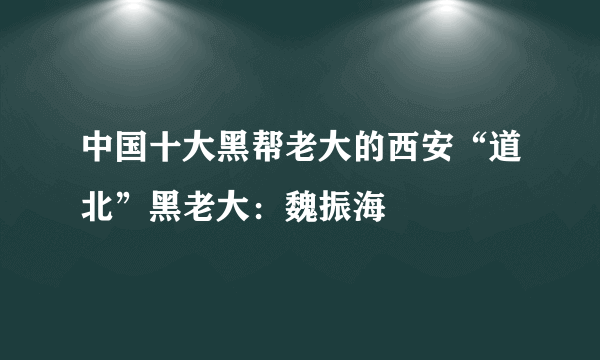 中国十大黑帮老大的西安“道北”黑老大：魏振海