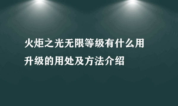 火炬之光无限等级有什么用 升级的用处及方法介绍