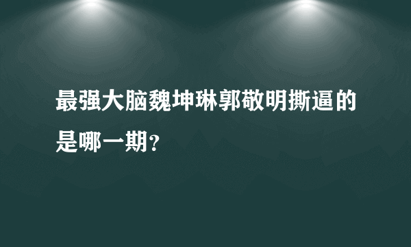 最强大脑魏坤琳郭敬明撕逼的是哪一期？