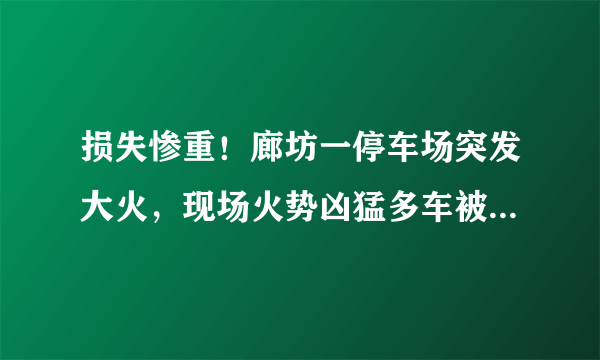 损失惨重！廊坊一停车场突发大火，现场火势凶猛多车被烧毁, 你怎么看？