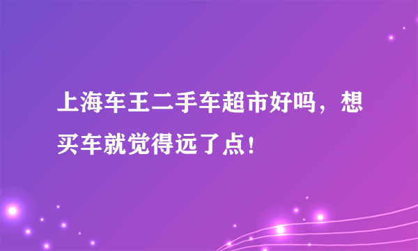 上海车王二手车超市好吗，想买车就觉得远了点！