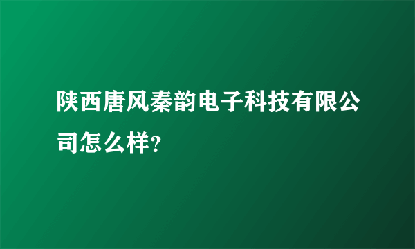 陕西唐风秦韵电子科技有限公司怎么样？