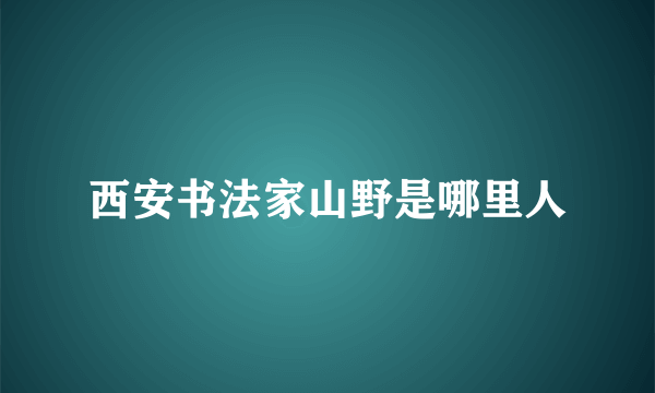 西安书法家山野是哪里人