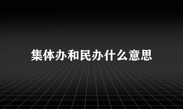 集体办和民办什么意思