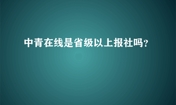 中青在线是省级以上报社吗？