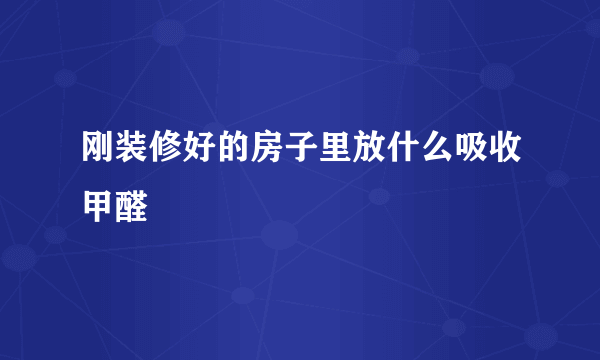 刚装修好的房子里放什么吸收甲醛