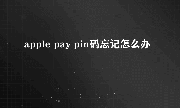 apple pay pin码忘记怎么办