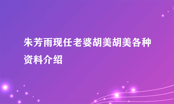 朱芳雨现任老婆胡美胡美各种资料介绍